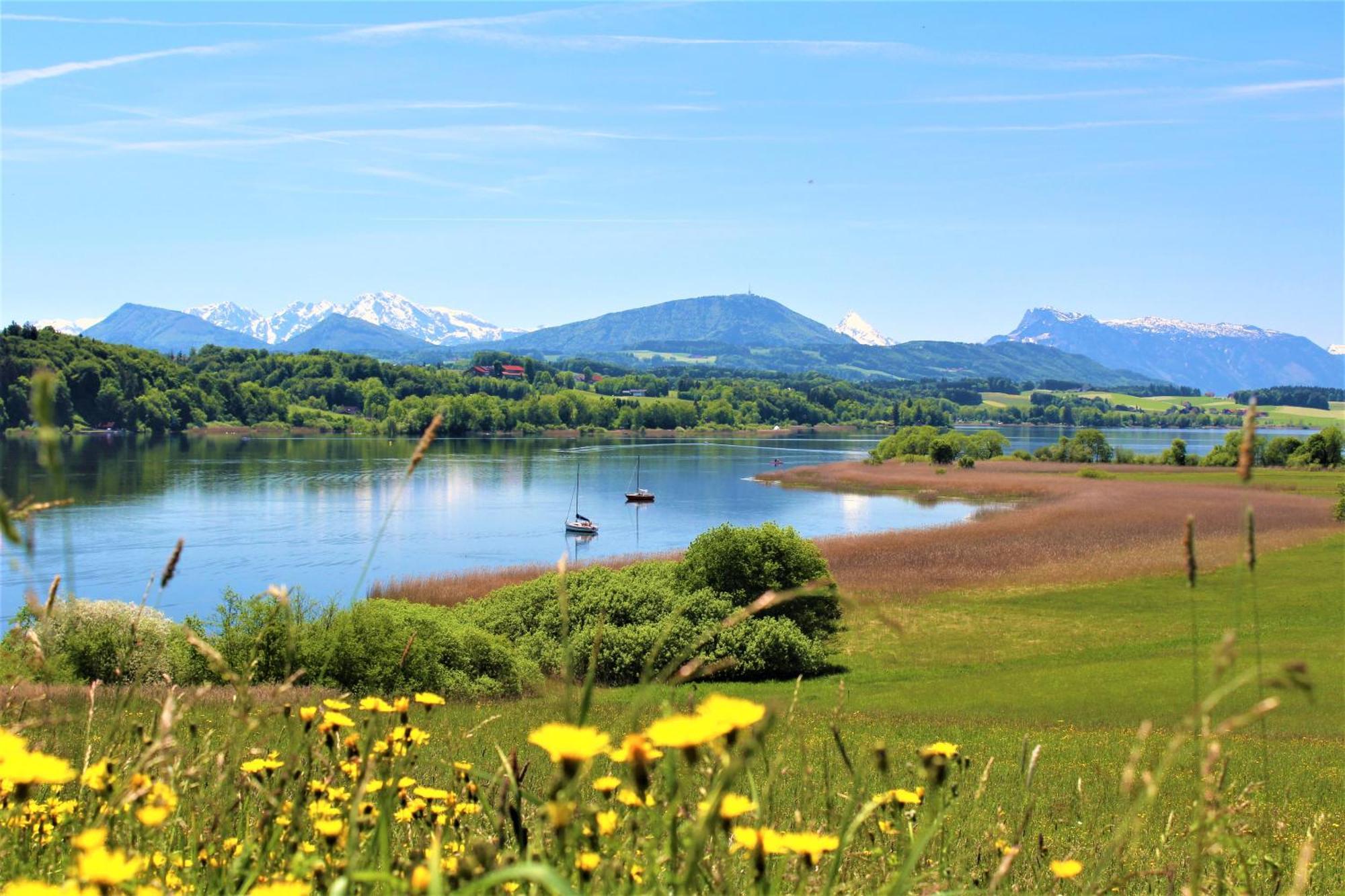 Haus Am Weinberg Leilighet Seekirchen am Wallersee Eksteriør bilde