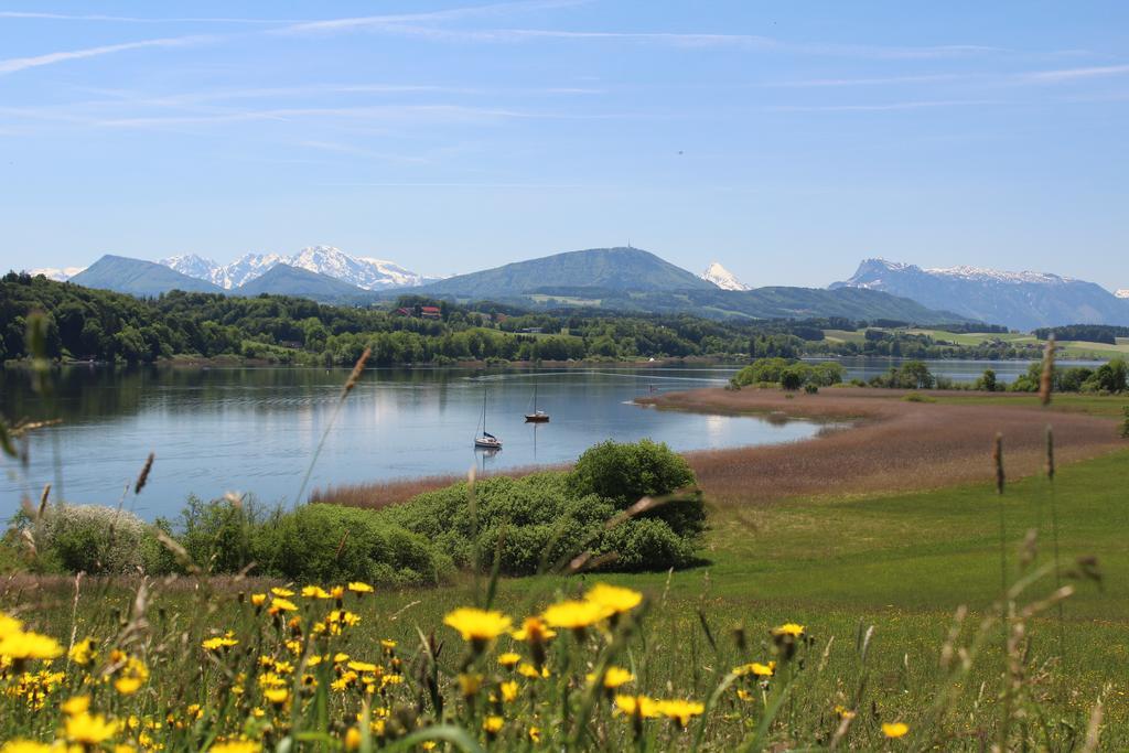 Haus Am Weinberg Leilighet Seekirchen am Wallersee Eksteriør bilde